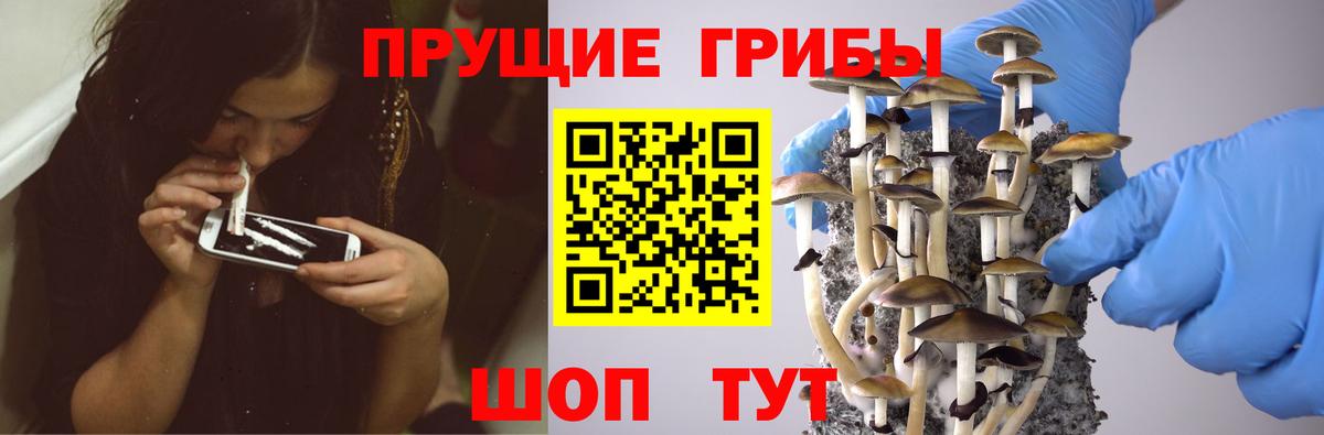 Приморско-Ахтарск  Галлюциногенные грибы ЛСД  Вход с VPN  Галлюциногенные грибы MAGIC MUSHROOMS 